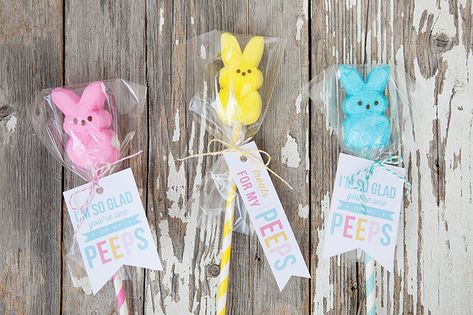 easter peeps printable Happy Easter Printable, Easter Marshmallow, Personalized Easter Eggs, Easter Favors, Easter Gift Tag, Easter Preschool, Free Printable Gifts, Easter Printables Free, Free Printable Gift Tags