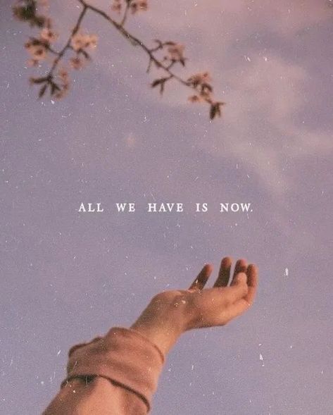 All we have Live Ur Life, There Is No Tomorrow, All We Have Is Now, No Tomorrow, Quotes