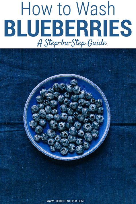 How To Wash Blueberries, How To Eat Blueberries, How To Wash Berries, How To Clean Blueberries, How To Clean Berries, Cleaning Blueberries, Clean Blueberries, Cleaning Berries, Wash Blueberries