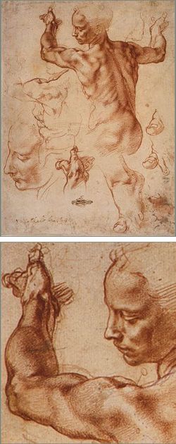 Michelangelo   studies for the Libyan Sibyl on the Sistine Chapel ceiling Frankenstein Drawing, Michelangelo Paintings, Trois Crayons, Michael Angelo, Istoria Artei, Anatomy Sketches, Sistine Chapel, Anatomy Drawing, Miguel Angel