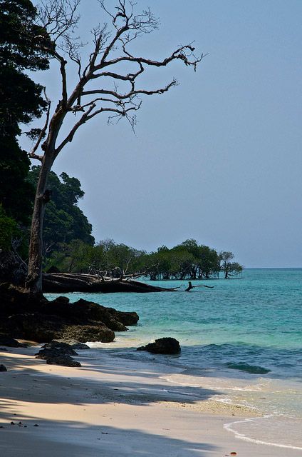 Laxman beach, Andaman-and-Nicobar-Islands Neil Island, Union Territories, Port Blair, Andaman And Nicobar Islands, City Island, Beautiful Nature Scenes, Beach Fun, Amazing Places, Nature Scenes