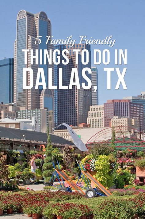 Family fun in Dallas Dallas With Kids, Dallas World Aquarium, Perot Museum, Dallas Farmers Market, Things To Do In Dallas, Dallas Zoo, Southwest Travel, Texas Summer, Dallas Arboretum