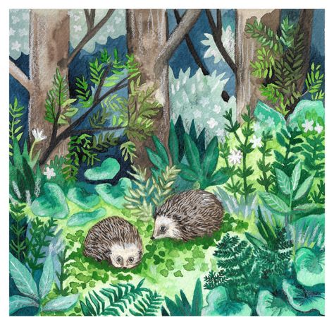 Hedgehog Awareness illustration by Aimee Lockwood. #hedgehog #animal #woodland #forest #plants #nature #watercolour #illustration #painting #art on Behance. Forest Plants Illustration, Woodland Scene Painting, Forest Plants Drawing, Hedgehogs Illustration, Forest Drawing With Animals, Forest Animal Painting, Watercolour Procreate, Watercolour Woodland, Woodland Painting