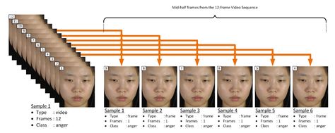 J. Imaging | Free Full-Text | FACS-Based Graph Features for Real-Time Micro-Expression Recognition Facial Action Coding System, Thing 1 Thing 2, Real Time, Facial, Coding