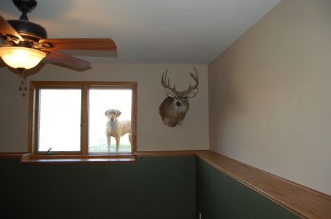 Wall Ledge Ideas, Paint Over Paneling, Basement Ledge, Wall Finishing Ideas, Painting Over Paneling, 1970 House, Painting Paneling, Wood Ledge, English Basement