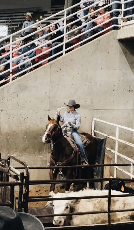 #neal #stardriven #rodeo #roping #breakaway #ranchlife #rodeotrail #quarterhorse #utah Rodeo Roping, Breakaway Roping, Mexican Rodeo, Country Aesthetic, Photography Settings, Rodeo Horses, Rodeo Life, Horse Boarding, Country Lifestyle