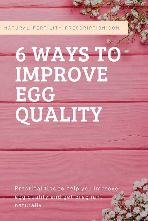 As we get older, the quality of our eggs tends to decline due to a number of factors. And because of this, many women wonder whether it is possible to improve egg quality after 40 and increase their chances of getting pregnant despite their age (in case you're wondering, the answer is YES!).  In this blog, we share a few things about poor egg quality: the causes, symptoms and more importantly, the things you can do to help improve egg quality naturally. 🙂 Egg Quality Diet, How To Increase Egg Quality, Egg Quality Fertility Improve Food, How To Improve Egg Quality Fertility, Improve Egg Quality Fertility, It Starts With The Egg, Geriatric Pregnancy, Womb Health, Improve Egg Quality