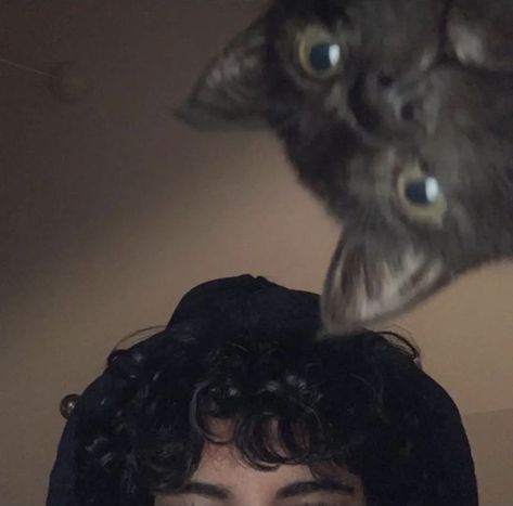 Men With Cats, ماثيو ماكونهي, Dark Curly Hair, Black Hair Boy, Boy Cat, Boys With Curly Hair, Profile Pictures Instagram, Pics Ideas, Black Curly Hair