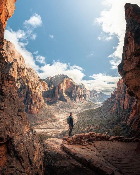 Marc Bächtold on Instagram: “On the scenic trail to Angel’s Landing in Zion National Park, UT 🇺🇸” Zion Hikes, Angels Landing Zion National Park, Zion National Park Photography, Angels Landing Zion, Rivers In The Desert, Zion Park, Usa Photography, Angel S, Angels Landing