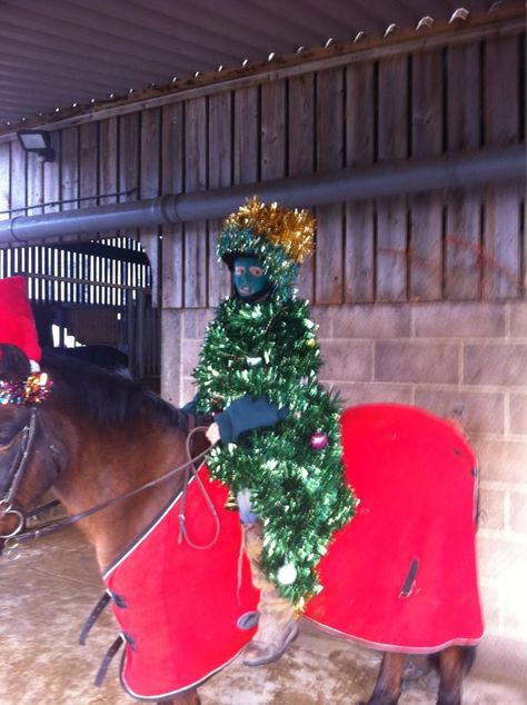 Horse Dressed Up For Christmas, Grinch Horse Costume, Christmas Horse And Rider Costumes, Horse And Rider Christmas Costume, Horse Christmas Parade, Christmas Horse Costumes, Horse Christmas Costume, Horse Halloween Ideas, Horse Fancy Dress