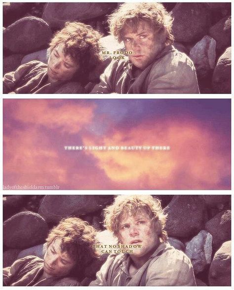 Samwise, The Return of the King. One of my favorite quotes Samwise Gamgee Quotes, Merry And Pippin, Earth Memes, Samwise Gamgee, The Return Of The King, Frodo Baggins, Quote Wallpaper, Into The West, Fellowship Of The Ring