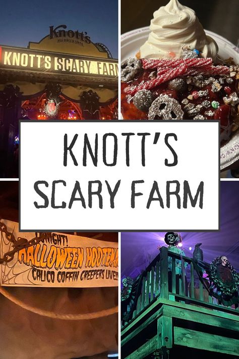 Knott's Scary Farm - Image 1: entrance to the theme park, Image 2: Cinema Slasher Funnel Cake topped with twizzlers, M&Ms, chocolate covered pretzels, ice cream, etc., Image 3: Timber Mountain Log Ride: Halloween Hootenanny over lay, Image 4: skeleton in Ghost Town Buena Park California, Haunted Maze, Scary Farm, Knotts Berry Farm, Foods And Drinks, Halloween Traditions, Buena Park, Berry Farm, Fall Festivities