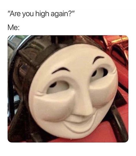 High Jokes, Old Memes, How High Are You, Dark Memes, Thomas The Train, Fresh Memes, Funny Cat Memes, Thomas And Friends, Funny Reaction Pictures