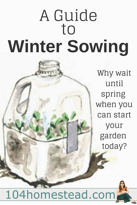 Winter Sowing Schedule Zone 5, Urban Balcony, Winter Sowing, Miniature Greenhouse, Garden Winter, Indoor Vegetables, Winter Greenhouse, Winter Vegetables Gardening, Sowing Seeds