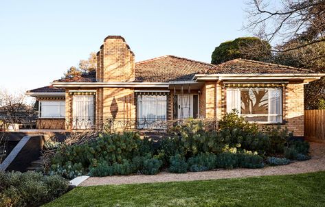 Fine And Dandy In Dandenong! Yellow Brick Houses, Mid Century Renovation, Dulux Natural White, Brick Exterior House, Brick Veneer, Top Architects, Adventure Aesthetic, Most Beautiful Gardens, Australian Architecture