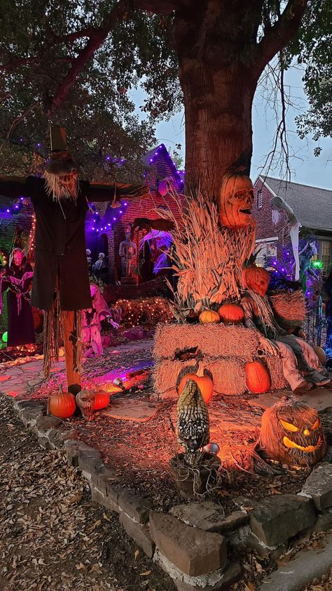 Best Decorated Halloween Houses, Haunted Cornfield Decorations, Extreme Halloween Decorations Outdoor, Haunted Pumpkin Patch Ideas, Halloween Trail Ideas, Spooky Graveyard Decorations, Horror Farm, Halloween Walkway, Outdoor Haunted House