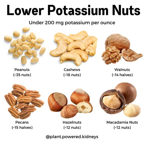 Potassium in Nuts: How You Can Eat Nuts on a Renal Diet Ckd Diet, Renal Recipes, Kidney Healthy Foods, Ckd Recipes, Kidney Diet Recipes, Kidney Friendly Recipes Renal Diet, Food For Kidney Health, Low Potassium Recipes, Healthy Kidney Diet