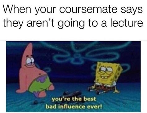 University Memes Hilarious, Economics Memes Hilarious, Uni Memes Student, University Memes, Study Memes, Copy Writer, Business Student, Studying Memes, College Memes