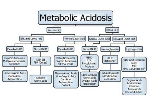 Metabolic Acidosis Acidosis And Alkalosis, Metabolic Acidosis, Acid Base Balance, Nursing Mnemonics, Cerebrospinal Fluid, Acid Base, Qr Code Generator, Nurse Rock, School Info