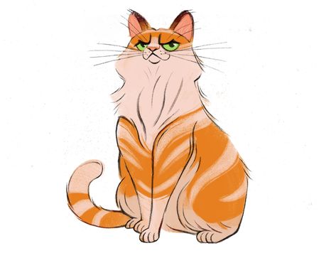 Arrogant Cat by NTAB STUDIO on Dribbble Arrogant Character Design, Arrogant Cat, Long Hair Cartoon, Cat Sketches, Illustration Product, Cat Sketch, Cat Character, Maine Coon, Cat Drawing