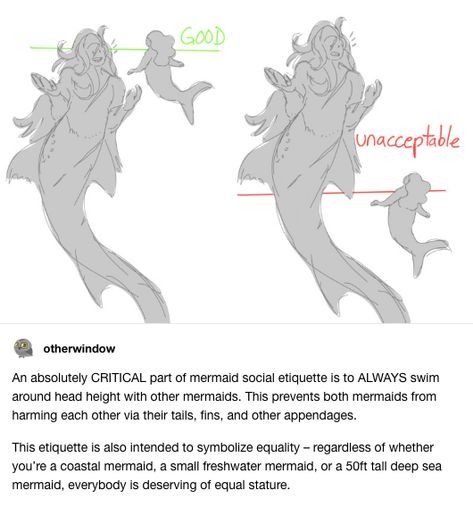 Mermaid height etiquette Mermaid Characters Design, Mythical Animal Hybrids, Mermaid Atonamy, Merpeople Character Design, People Sketches Aesthetic, Fun Art Reference Photos, Mermaid World Building, Different Mermaid Species, Mermaid Lore Tumblr