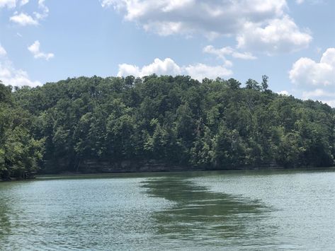 Below Market Smith Lake Lakefront : Land for Sale by Owner in Double Springs, Winston County, Alabama : #236789 : LANDFLIP Smith Lake Alabama, Big Lake, For Sale By Owner, House Fire, Houses For Sale, Land For Sale, Alabama, House Ideas, Springs