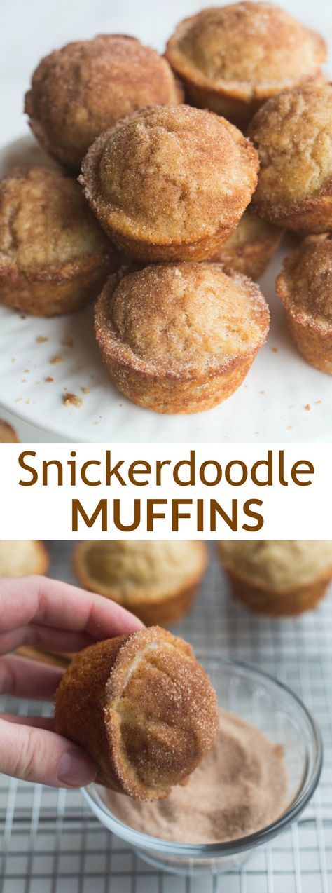 Snickerdoodle Mini Muffins, Snicker Doodle Muffins, Cinnamon Muffin Recipes, Breakfast Recipes With Biscuits, Recipes With Biscuits, Snickerdoodle Muffins Recipe, Muffins From Scratch, Snickerdoodle Muffins, Snicker Doodle