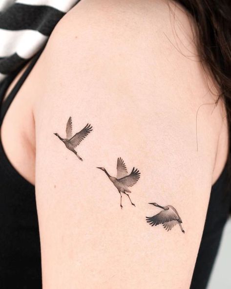 Cranes Tattoo, Stork Tattoo, Bird Logo Inspiration, Black Swan Tattoo, Heron Tattoo, Simple Line Tattoo, Tiny Bird Tattoos, Swan Tattoo, Tattoo Samples