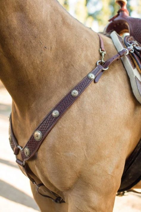 No matter if you are a professional or an amateur horse racer, a wither strap is a should-have item in your tack. It will help you keep the breast collar stay in the right position. Also, the best horse wither straps act as a decoration that can shine out your personality. But, which wither strap […] The post Best Horse Wither Straps 2020 on the Market: Reviews & Buyer Guide appeared first on Horse is Love. Western Pleasure Outfit, Wither Strap, Big Horses, Horse Equipment, Types Of Horses, Western Riding, Western Pleasure, English Riding, Horse Health