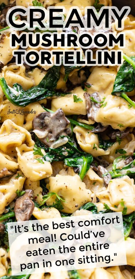 Dinner is made easy with this one pan creamy tortellini recipe! It's loaded with juicy mushrooms and spinach in a garlic cream sauce, and there's hardly any cleanup! Creamy Spinach Tortellini Soup Crockpot, Cheese Tortellini Mushroom Recipes, Tortellini With Mushrooms And Spinach, Tortellini For A Crowd, Garlic Chicken Tortellini Recipes, Tortellini And Mushrooms, Chicken Mushroom Tortellini Recipes, Mushroom Tortellini Sauce, Sausage Stuffed Tortellini Recipes