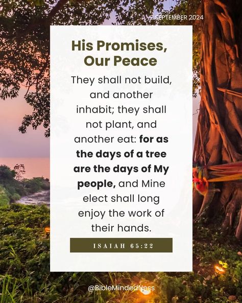 His Promises, Our Peace 2 Septemer 2024 Isaiah 65:22 They shall not build, and another inhabit; they shall not plant, and another eat: for as the days of a tree are the days of my people, and mine elect shall long enjoy the work of their hands. #HisPromisesOurPeace #GlorytoGod #YourBibleBestie #Scripture #Christianity #BibleStudy #BibleMindedNess Isaiah 65, My People, Gods Promises, A Tree, Bible Study, Verses, Bible Verses, Bible, Quotes