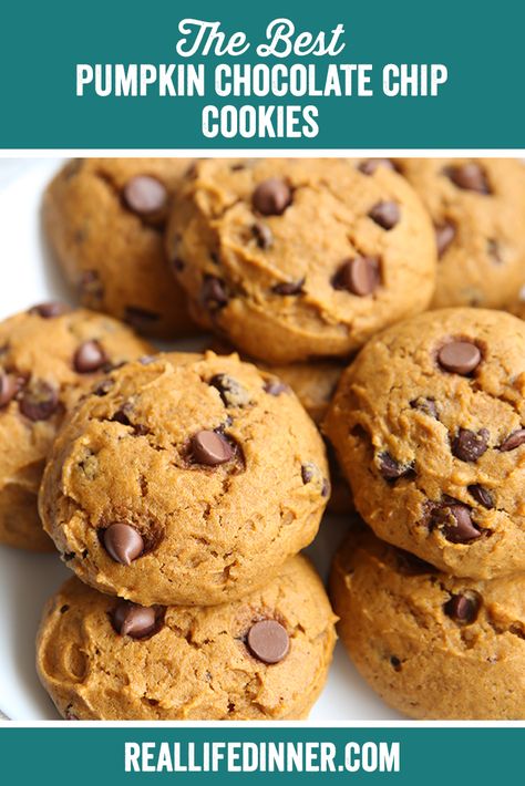 The Best Pumpkin Chocolate Chip Cookies ~ https://reallifedinner.com Pumpkin Cookies Taste Of Home, Best Pumpkin Chocolate Chip Cookies Recipe, Pumpkin Chocolate Cookies Recipes, The Best Pumpkin Chocolate Chip Cookies, Moist Pumpkin Chocolate Chip Cookies, Pumpkin Choc Chip Cookies, Pumpkin Cookies Chocolate Chip, Apple Tacos, Pumpkin Chip Cookies