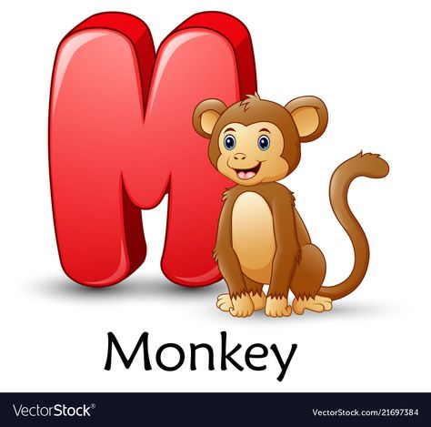 Letter m is for monkey cartoon alphabet Royalty Free Vector M For Monkey, M Is For Monkey, Dragon Fruit Vector, Learning Pictures, Abc Cartoon, Crocodile Cartoon, Monkey Cartoon, Cartoon Alphabet, Nursery Worksheets