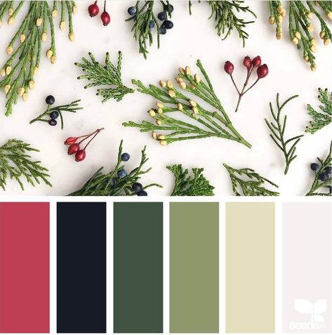 Boughs of Holly Sweater/FT Knit Palette Bundle. - Boho Fabrics Boughs Of Holly, Seeds Color, Christmas Color Palette, Winter Color Palette, Color Schemes Colour Palettes, Color Season, Christmas Color, Colour Ideas, Paint Colour