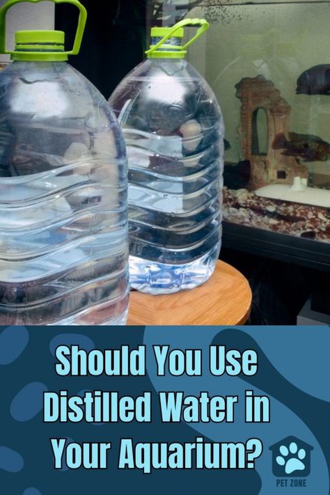 Find out if using distilled water in your #aquarium is the best #water source for your #fish tank. Learn how to properly use distilled water. via @petzoneblog Large Fish Tanks, Slow Changes, Turtle Aquarium, Fresh Water Fish Tank, Water Source, Reverse Osmosis Water, Saltwater Tank, Water Party, Best Water