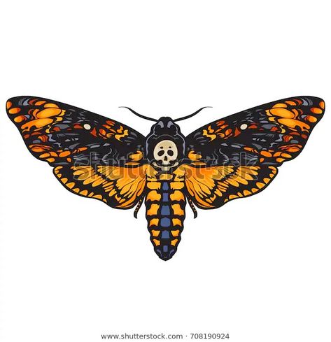 Deaths Head Moth Art, Art Refence, Moth Drawing, Moth Tattoo Design, Moth Illustration, Skull Moth, Deaths Head, Neotraditional Tattoo, Moth Butterfly