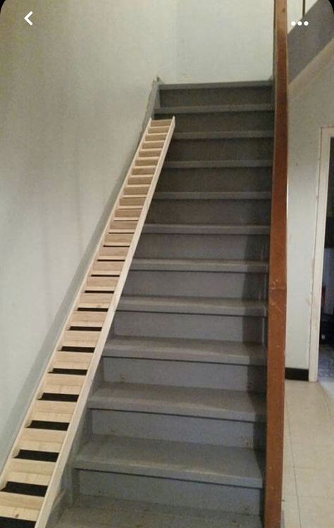 Diy Dog Ramp For Stairs, Rabbit Ramp, Wheelchair Ramp Diy, Dog Ramp For Stairs, Cat Ramp, Ramp Stairs, Tiny House Living Room, Diy Dog Crate, Dog House Bed