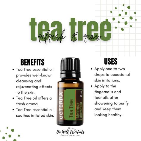 🌳 Tea Tree oil is a must-have in any natural wellness toolkit. Known for its powerful cleansing properties, it’s perfect for skincare, cleaning, and more. Whether you’re dealing with a blemish or looking to freshen up your space, tea tree oil has you covered. Tea Tree Benefits, Tea Tree Skincare, Tea Tree Oil Uses, Tea Tree Oil Face, Serum Benefits, Face Products, Acne Control, Melaleuca Alternifolia, Tea Tree Essential Oil