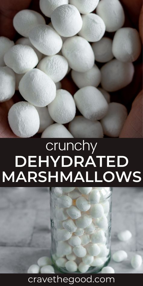 How To Make Dehydrated Marshmallows, Dehydrating Marshmallows In Dehydrator, Dehydrated Marshmallows In Oven, How To Dehydrate Marshmallows, Dehydrate Marshmallows, Dehydrator Jerky, Dehydrated Snacks, Dehydrated Marshmallows, Dehydrating Recipes