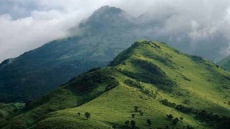 Earth Nation Aesthetic, Green Leaf Aesthetic, Leaf Aesthetic, Clouds Mountains, Rare Gallery Wallpaper, Clouds Landscape, Gallery Wallpaper, Mountain Wallpaper, Green Mountain