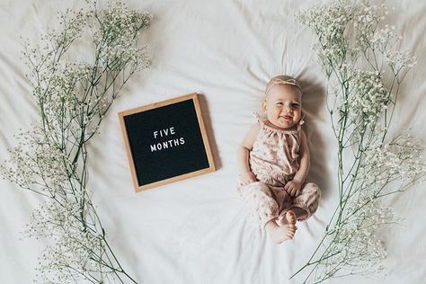 Olivia is FIVE months old today! She is now at the age where she whines like crazy every time we eat anything because we aren’t sharing. 😅… Baby Monthsary Photo Ideas, Monthly Pictures, Like Crazy, Baby Photoshoot, Baby Ideas, Baby Month By Month, Newborn Photos, Photoshoot Ideas, The Age