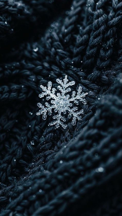 New Years Eve Screensavers, Winter Aesthetic Snowflakes, Snow Iphone Background, Winter Aesthetic Black And White, Black Christmas Wallpaper Aesthetic, Gothic Christmas Aesthetic Wallpaper, Aesthetic Christmas Images, Spooky Winter Aesthetic, Early Winter Wallpaper