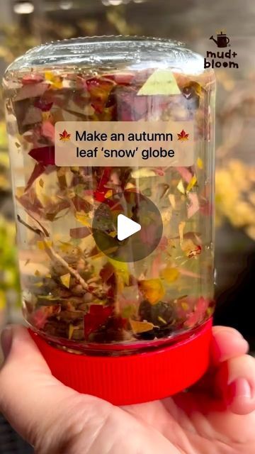 Autumn Leaf Snow Globe, Season Changes Preschool Activities, Leaves Eyfs Activities, Leaf Man Preschool Activities, Early Years Autumn Activities, Autumn Provocations, Autumn Activities For Babies, Kindergarten Autumn Activities, Autumn Eyfs Activities