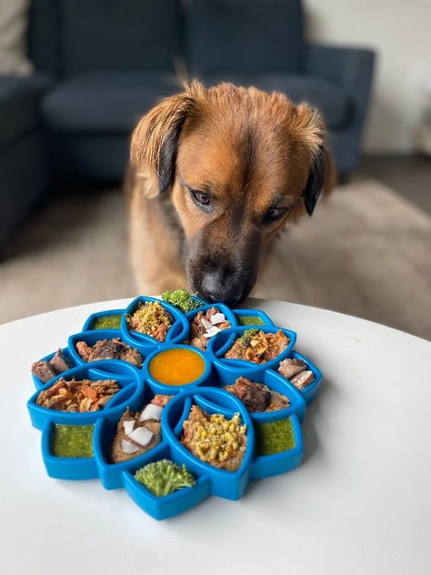 Meditate upon a better enrichment journey for you and your dog. The Mandala etray promotes healthy slower eating, giving you peace of mind and giving your dog a peaceful belly. The Mandala etray marries the benefits of lick mats with the benefits of slow feeder bowls. Om.....ENRICHMENT: The Mandala etray promotes slower eating and improves digestions. Perfect for all size dogs including puppies. BENEFITSThe Mandala is perfect for serving wet and dry foods together without making a mess. You can Natural Eating, Stainless Steel Dog Bowls, Treat Dispenser, Dog Enrichment, Raw Diet, Slow Feeder, Treat Jars, Small Meals, Pet Life