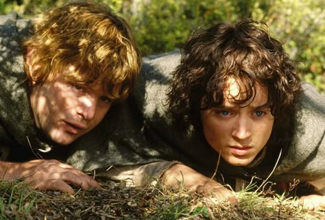 Lotr Cast, Samwise Gamgee, Two Towers, Frodo Baggins, Elijah Wood, The Two Towers, Fellowship Of The Ring, The Shire, Italian Men