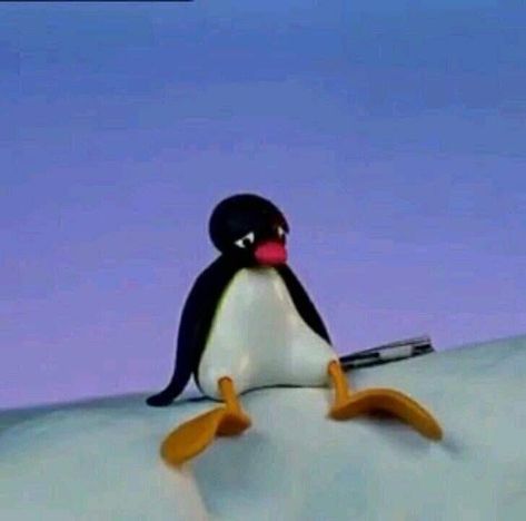 Noot Noot Penguin, Penguin Pfp, Noot Noot, Pen