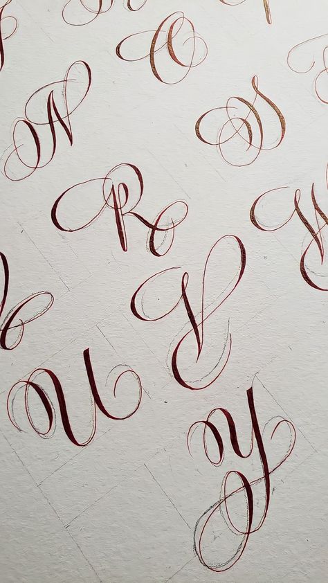 Calligraphy Alphabet Bouncy, Caligraphy Alphabet Flourish, Calligraphy Flourishes Alphabet, Copperplate Calligraphy Flourishes, Hand Lettering Fonts Alphabet Calligraphy, Flourishes Calligraphy Alphabet, Flourish Calligraphy Alphabet, E Calligraphy Letter, T Calligraphy Letter