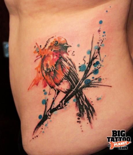 Big Bird Tattoo, Robin Bird Tattoos, Robin Tattoo, Bird Tattoo Back, Autumn Tattoo, Bird Sketch, Dragonfly Tattoo, Bird Tattoo, Robin Bird