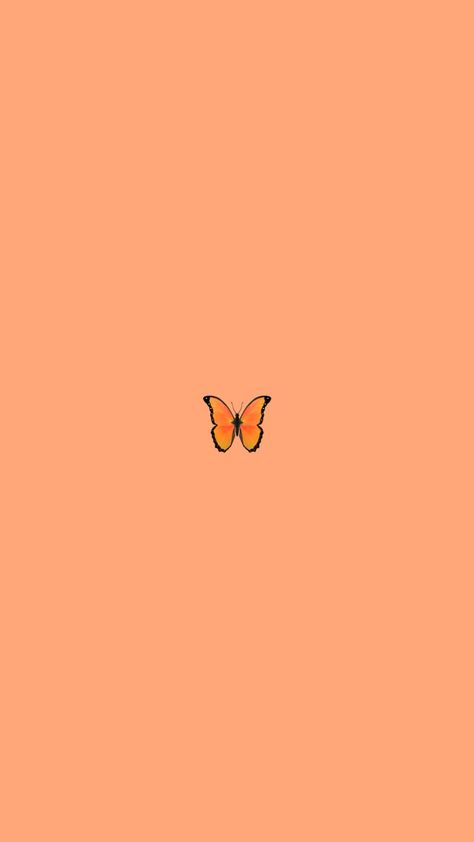 Color Naranja Aesthetic, Color Naranja Pastel, Aesthetic Naranja, Code Wallpaper, Cute Blue Wallpaper, Wallpaper Iphone Summer, Orange You Glad, Orange Aesthetic, Blind Bags