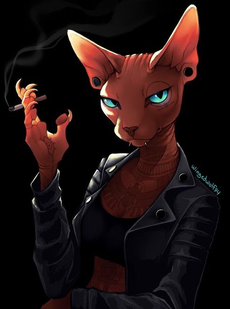 Anthro Cat, Girl With Tattoos, Sphinx Cat, Cat Character, Sphynx Cat, Cat People, Sphynx, Warrior Cats, Dnd Characters